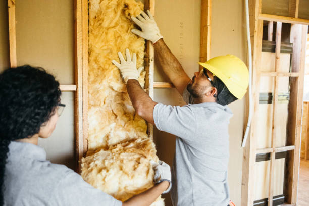 Best Soundproof Insulation  in Durant, IA